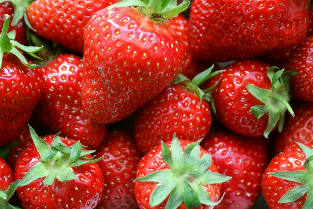 Erdbeeren frisch vom Feld Foto &amp; Bild | natur, pflanzen, früchte Bilder ...