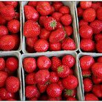 -Erdbeeren für ALLE!-