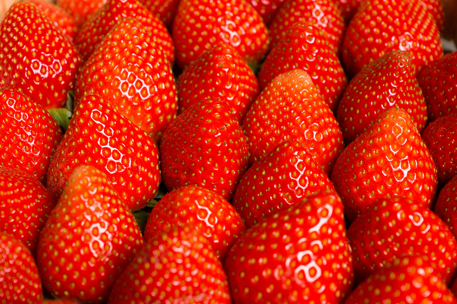 Erdbeeren... hat jemand Hunger?