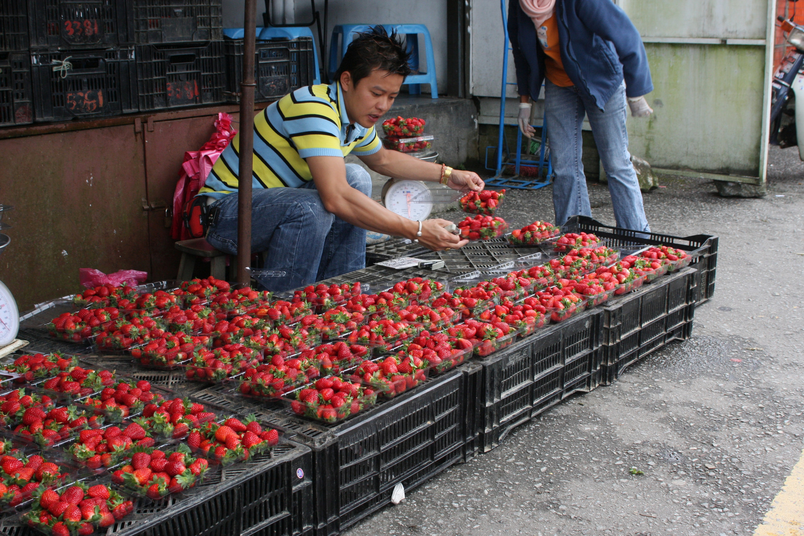 Erdbeeren im Februar