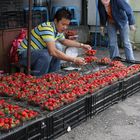 Erdbeeren im Februar