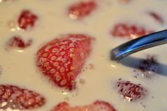 Erdbeeren in Sahne