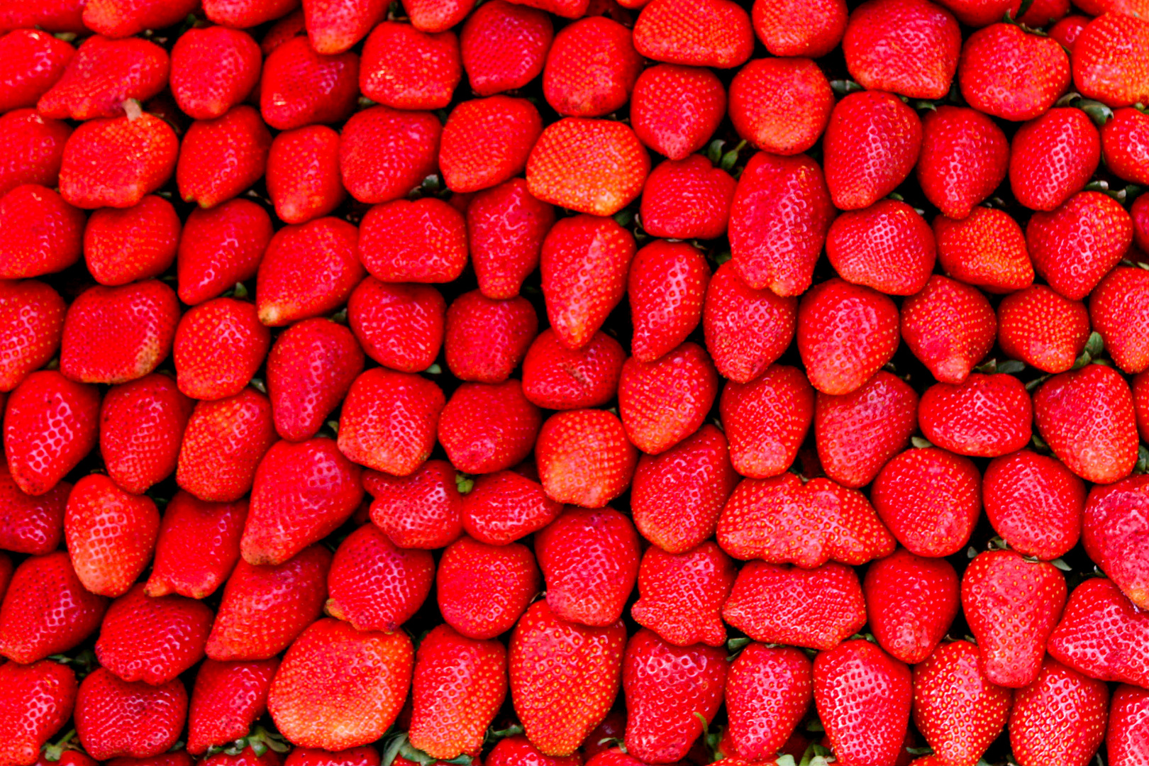 „Erdbeeren“ Karmel Markt Tel Aviv/ Israel