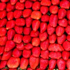 „Erdbeeren“ Karmel Markt Tel Aviv/ Israel