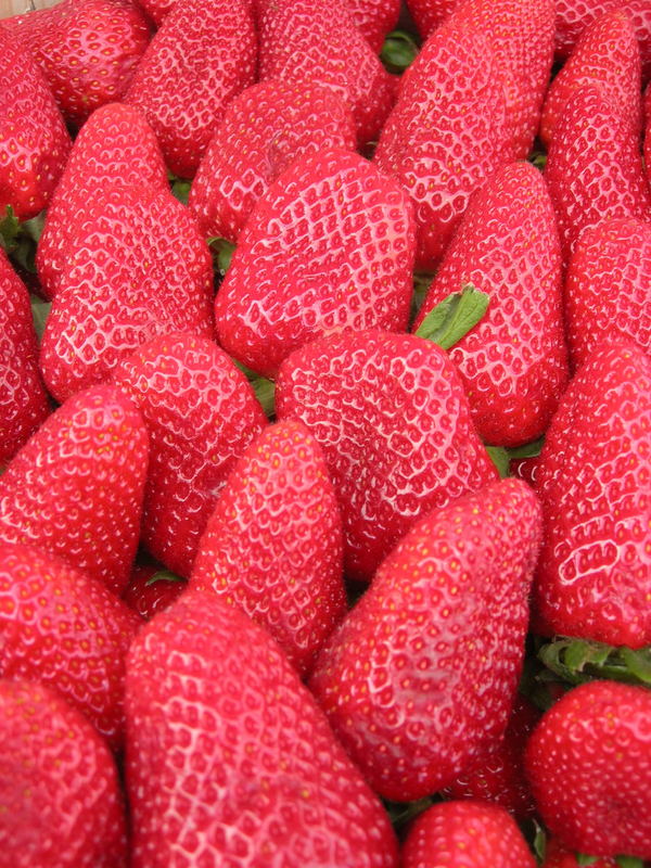 erdbeeren pur