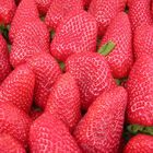 erdbeeren pur