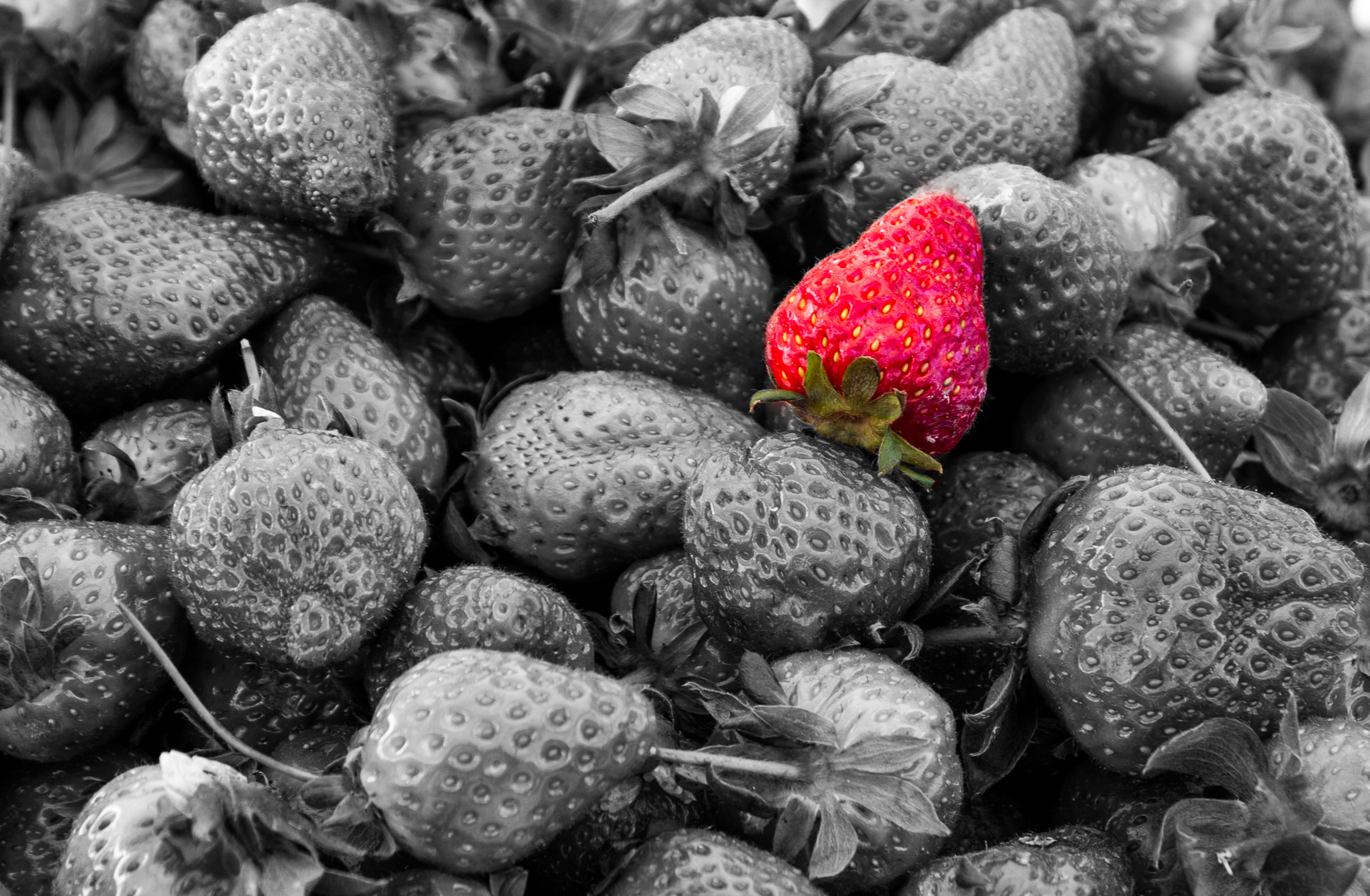 Erdbeeren - Schwarz/Weiss mit Farbtupfer