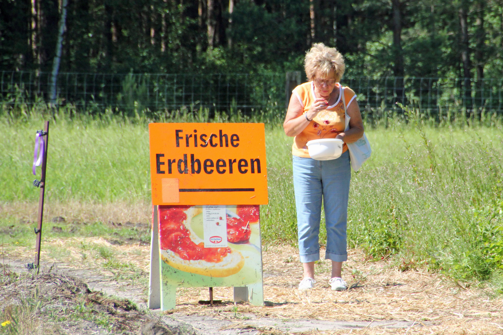 Erdbeeren zum Selbstpflücken: Erst bezahlen, dann naschen!!!