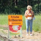 Erdbeeren zum Selbstpflücken: Erst bezahlen, dann naschen!!!