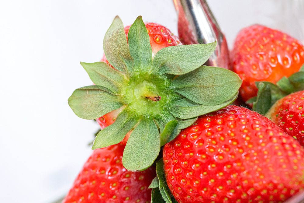 Erdbeeren.......auch wenn sie geschmacklich den Namen noch nicht verdienen