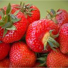 Erdbeerenlieferservice 