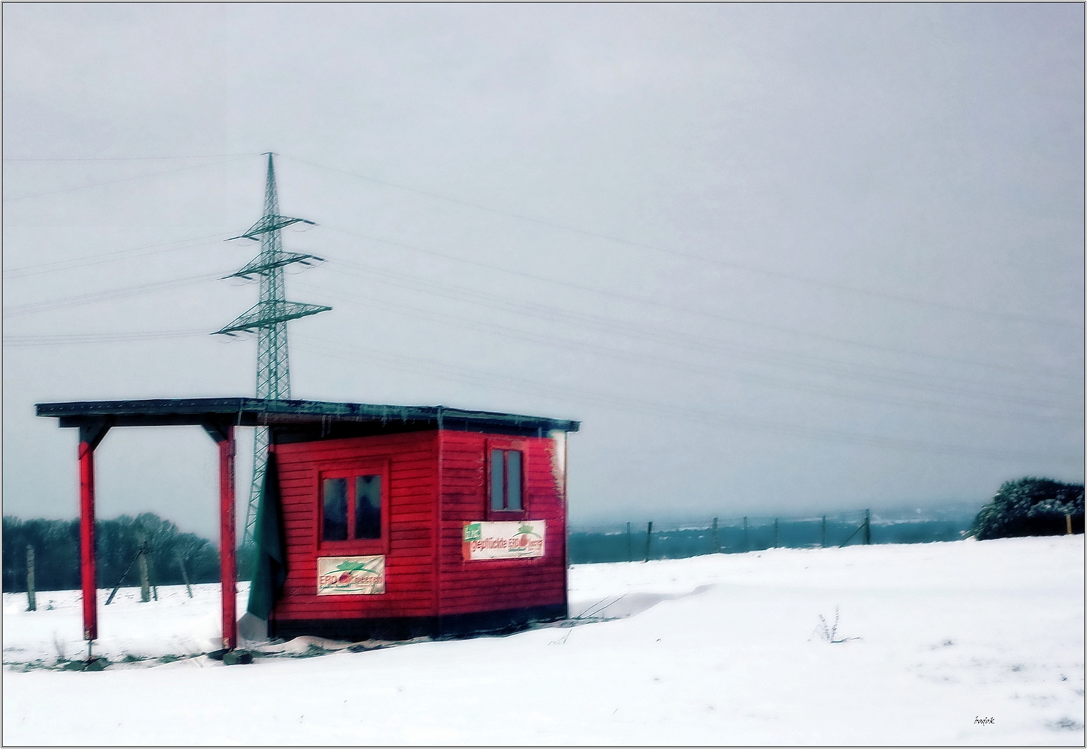 Erdbeerfeld am Haarstrang 09.02.2021