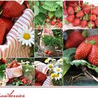 Erdbeeriziit