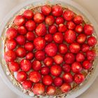 Erdbeerkuchen 6