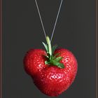 Erdbeerliebe :-)