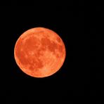 Erdbeermond