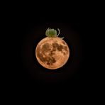 Erdbeermond