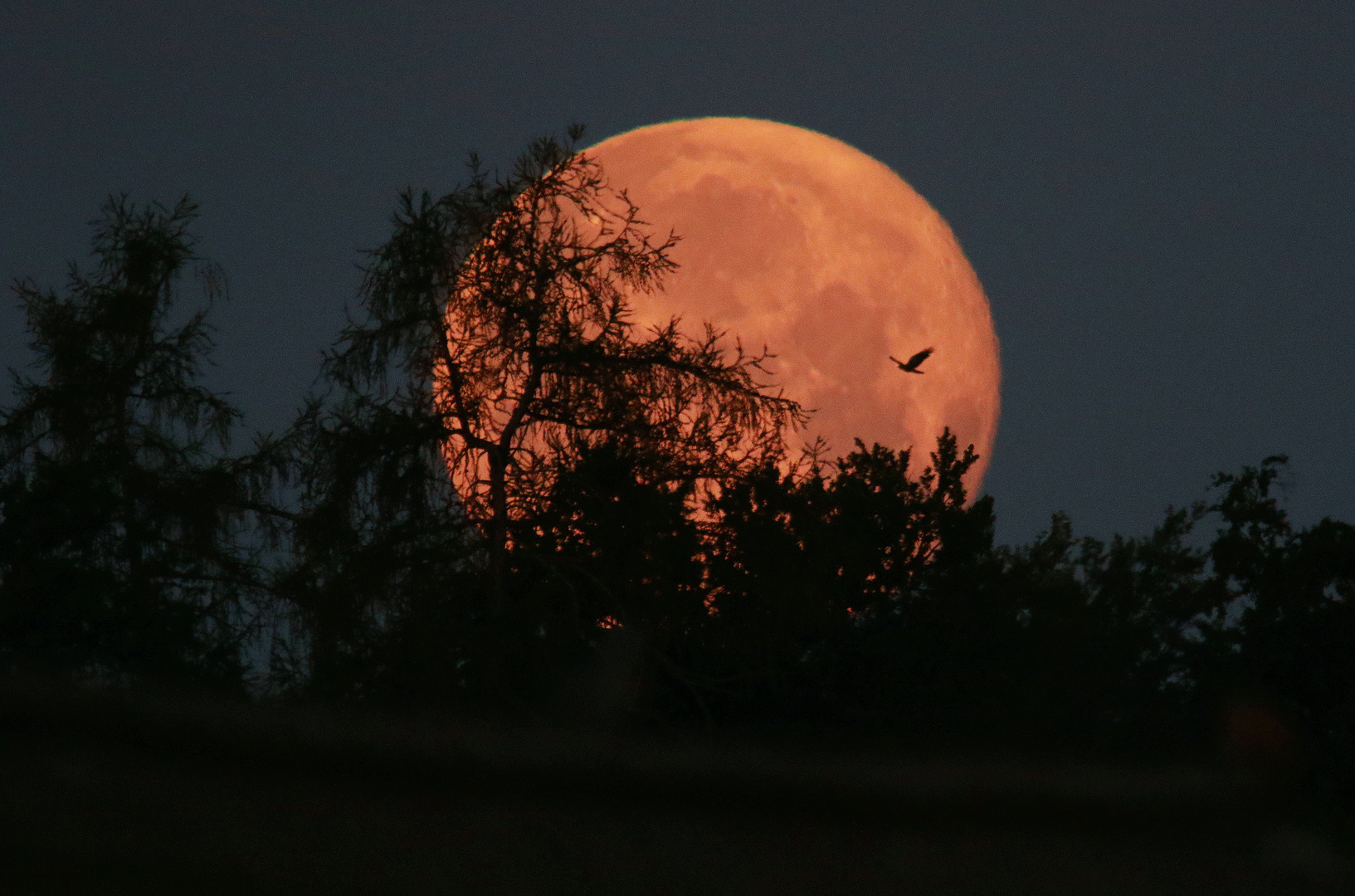 Erdbeermond I-III  Supermond 15.06.22 