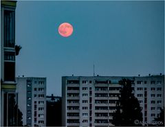 Erdbeermond über Marzahn