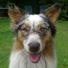 User Profile Photo