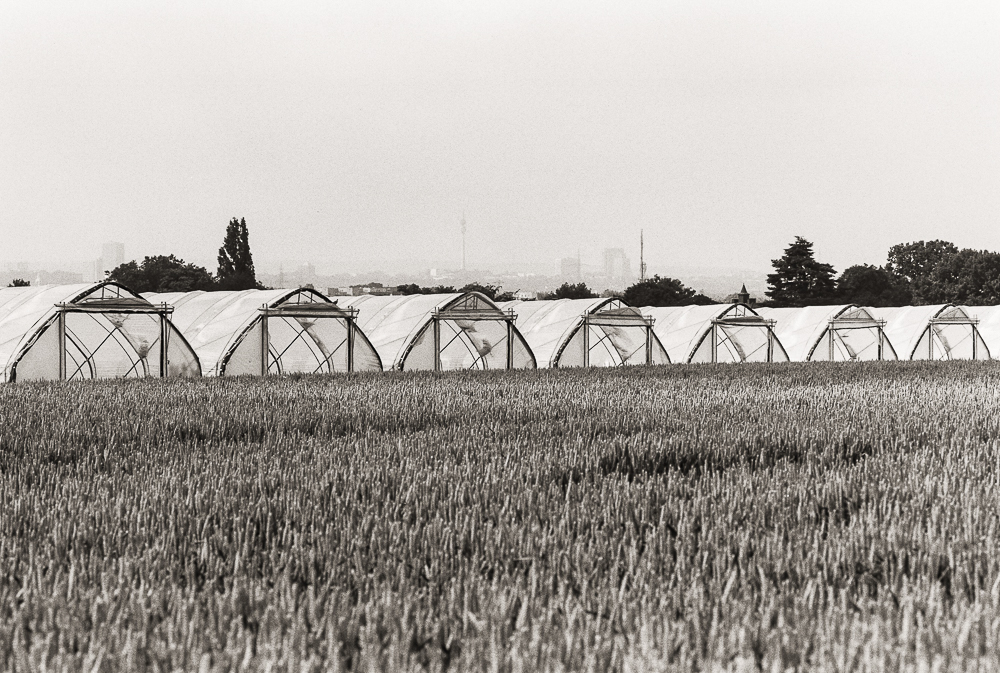 Erdbeertunnel