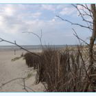 - Erde - Europa - Nordsee - Baltrum - V