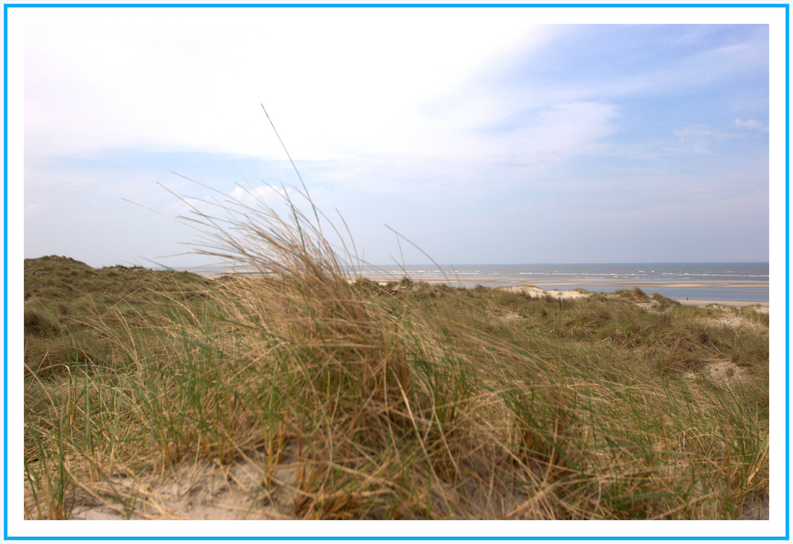 - Erde - Europa - Nordsee - Baltrum - VI