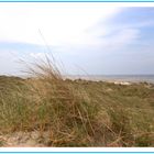 - Erde - Europa - Nordsee - Baltrum - VI