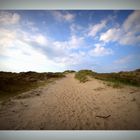 - Erde - Europa - Nordsee - Baltrum - Weg zum Meer .