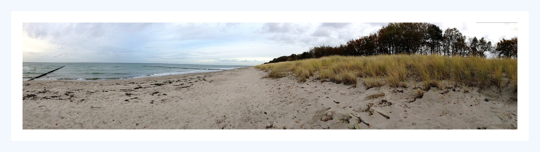 - Erde - Europa - Ostsee - Zingst - Richtung lange Düne -