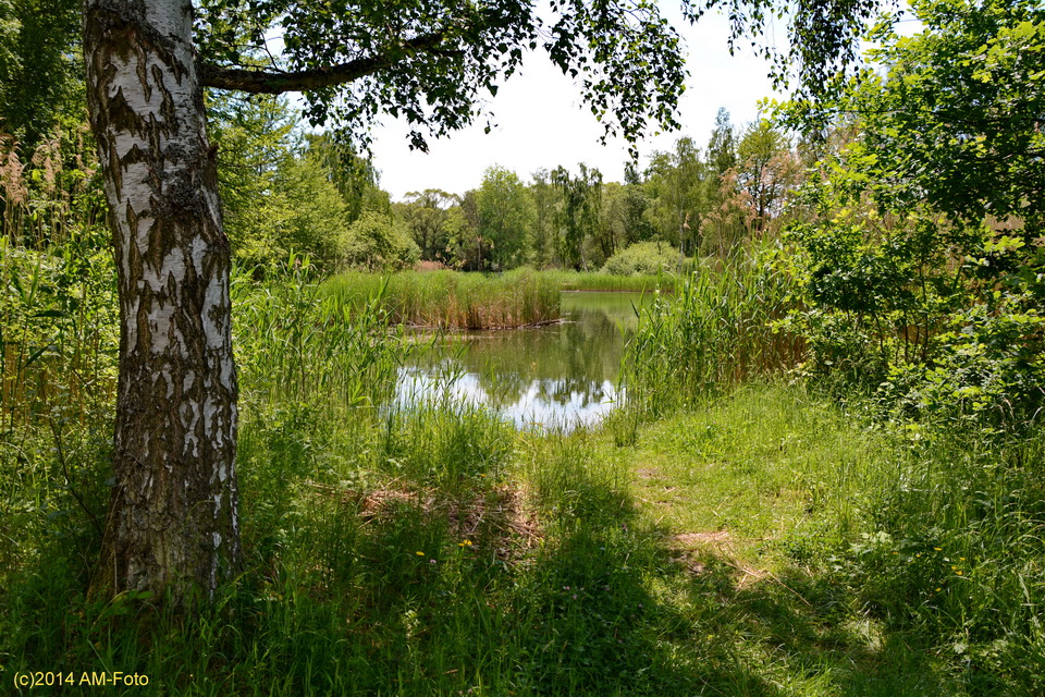 Erdekaut bei Eisenberg/Pfalz