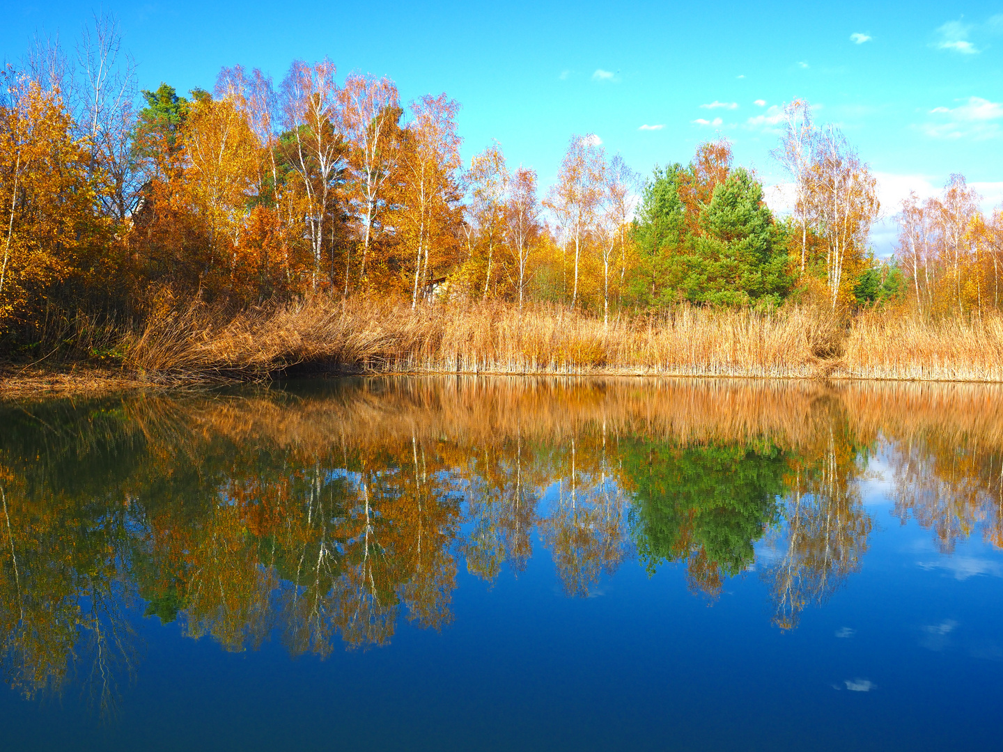 Erdekaut, small lake in Autumn mood