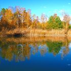 Erdekaut, small lake in Autumn mood