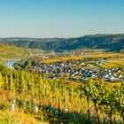 Erden - Mosel 72