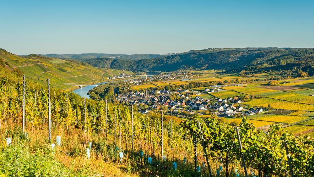 Erden - Mosel 72