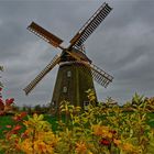 Erdholländermühle bei Steinhagen/Vorpommern