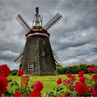 Erdholländermühle Steinhagen, in der Nähe der Hansestadt Stralsund... 