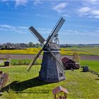 Erdholländerwindmühle in Steinhagen/Vorpommern...