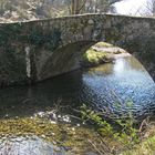 erdi aroko zubi (puente medieval)