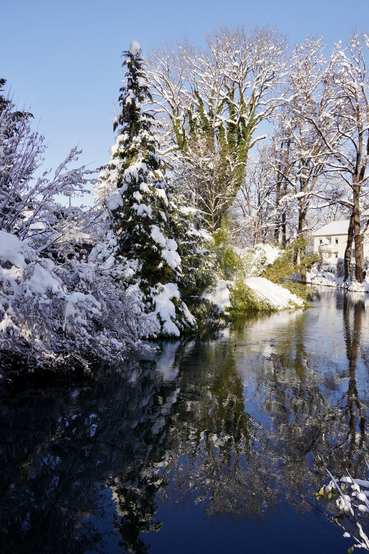 Erding im Winter #6