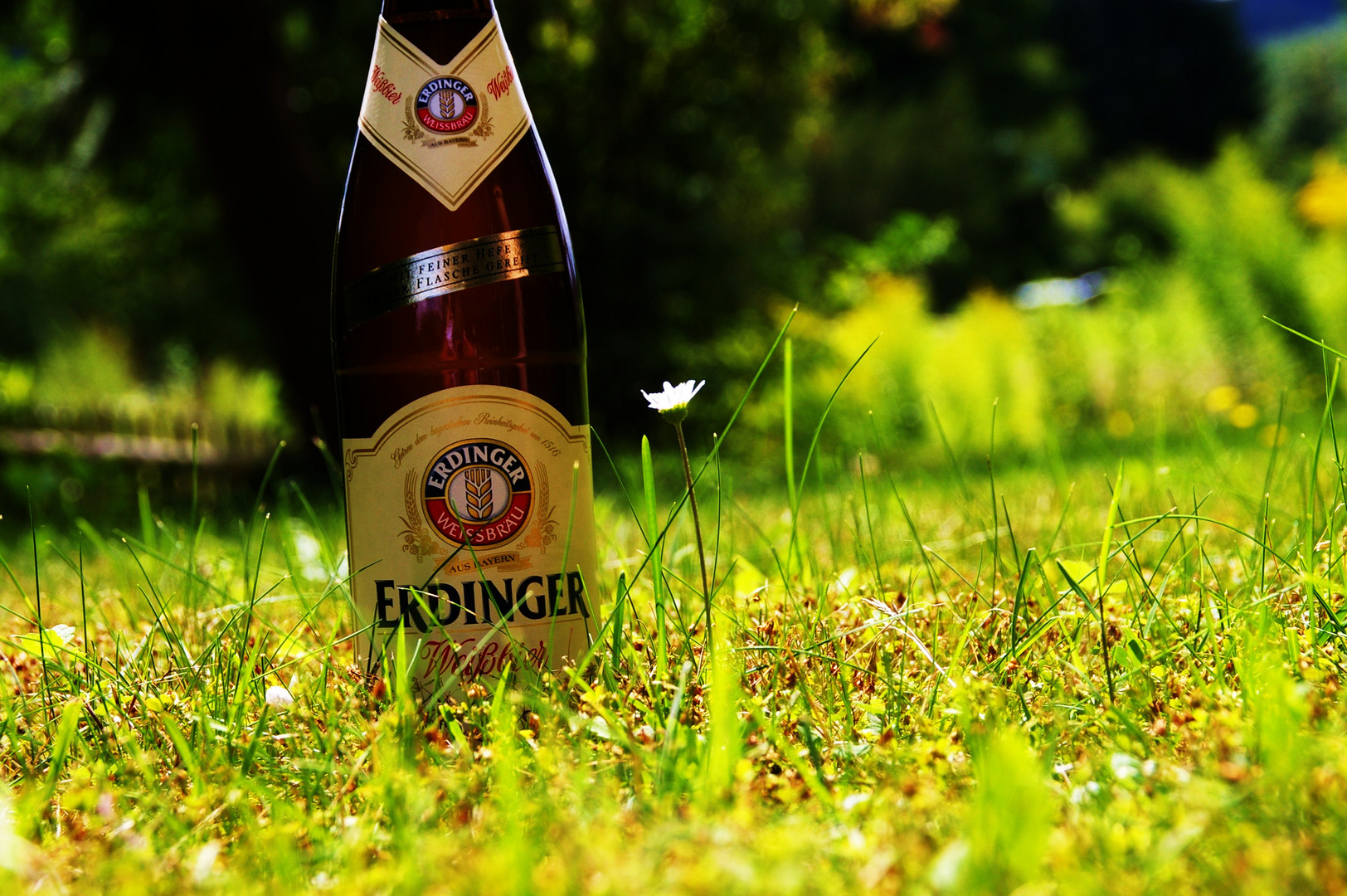 Erdinger