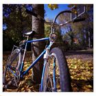 Erding_Fahrrad