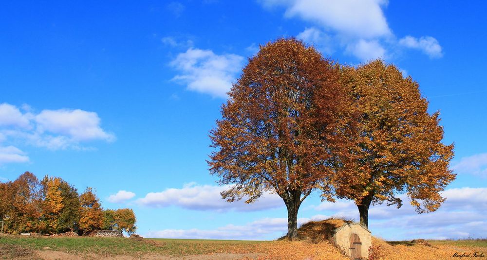 Erdkeller im Herbst