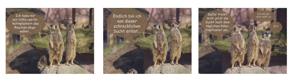 Erdmännchen in den Mund gelegt I