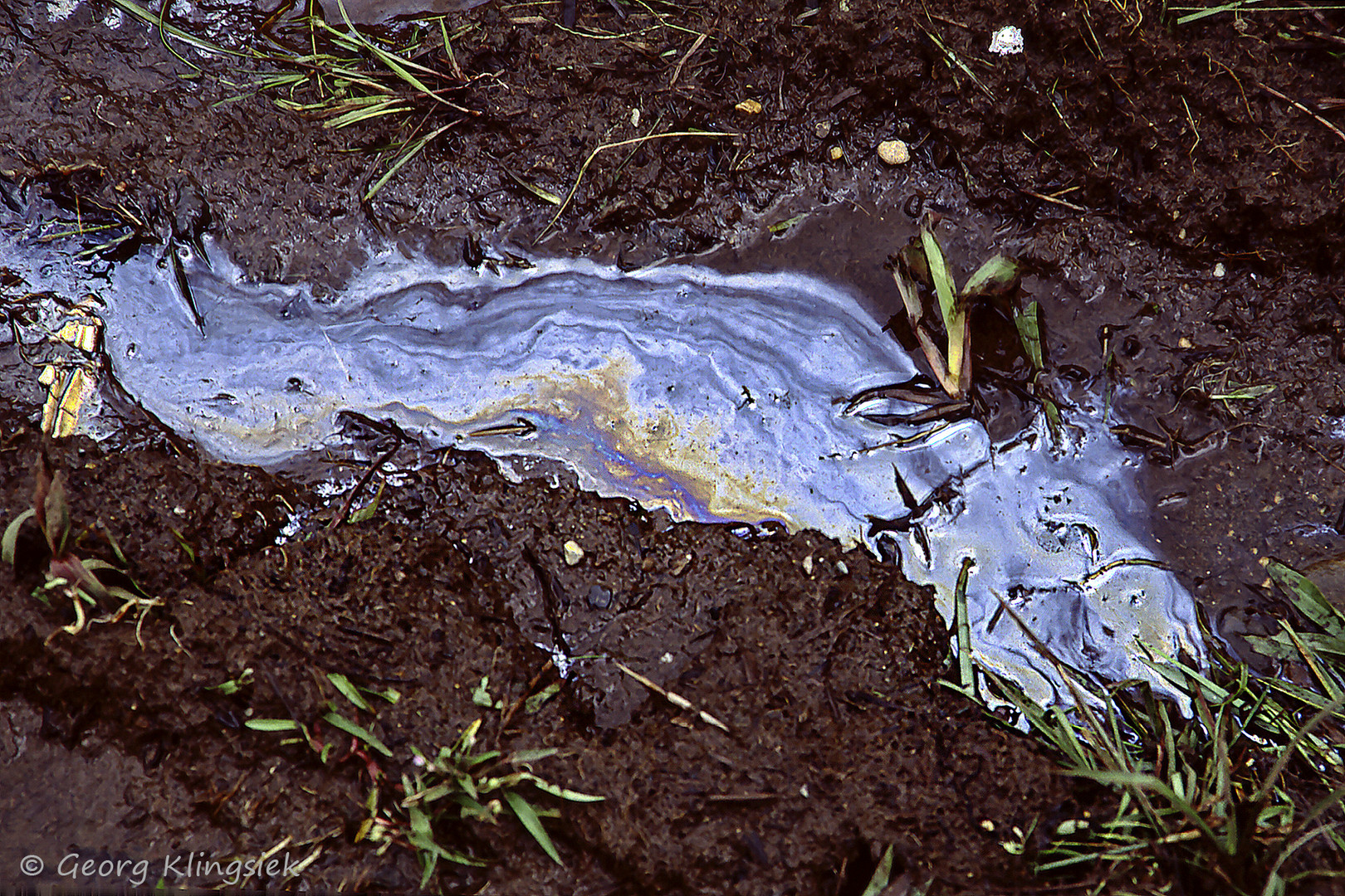 Erdöl im Regenwald 