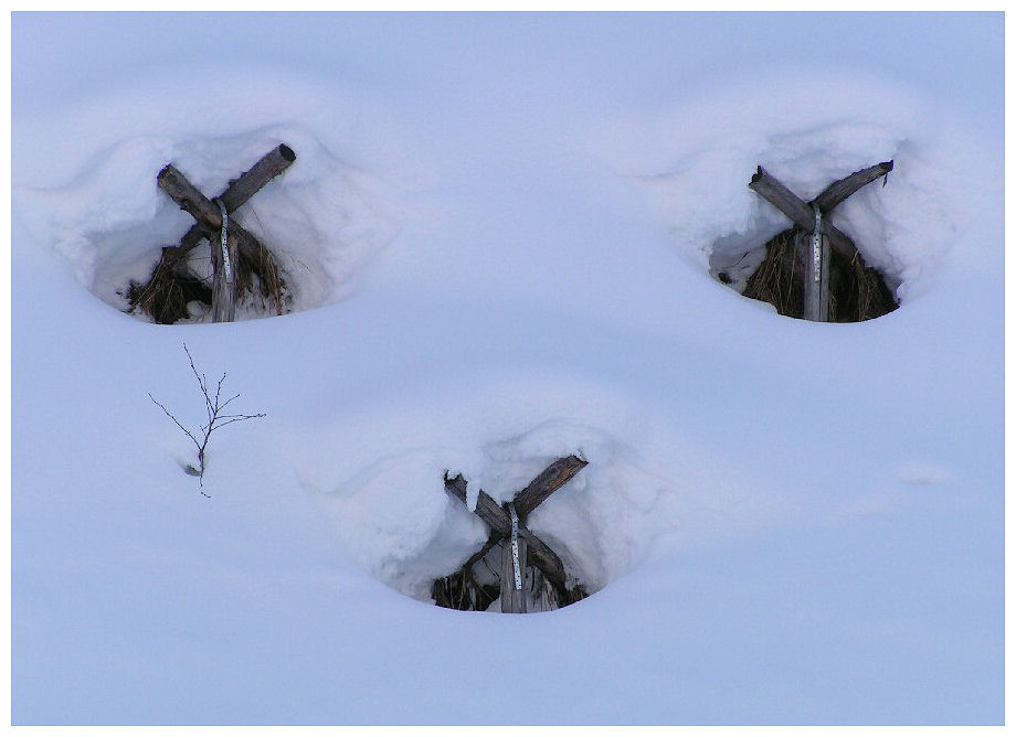 Erdrückt von so viel Schnee .....