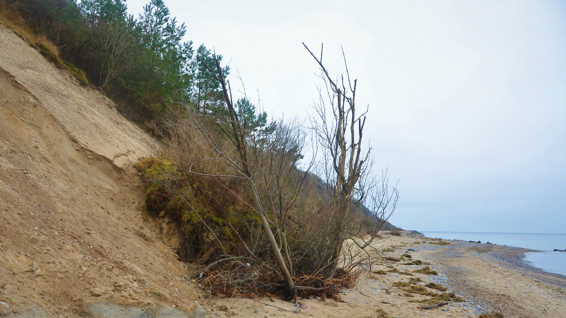 Erdrutsch Hiddensee