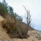 Erdrutsch Hiddensee