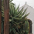 Eremita San Telmo in Puerto de la Cruz