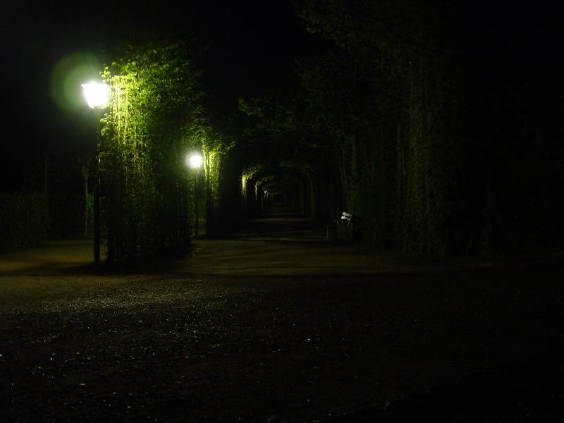 Eremitage bei Nacht